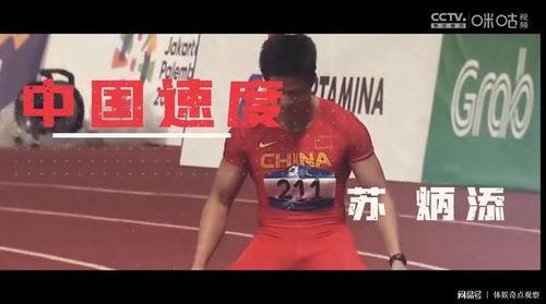 今日爆料曾文鼎团队视频,揭秘背后惊人真相！